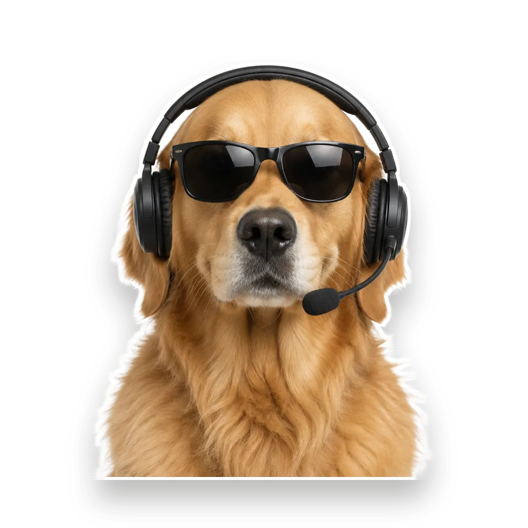 Humphrey, a golden retriever in shades